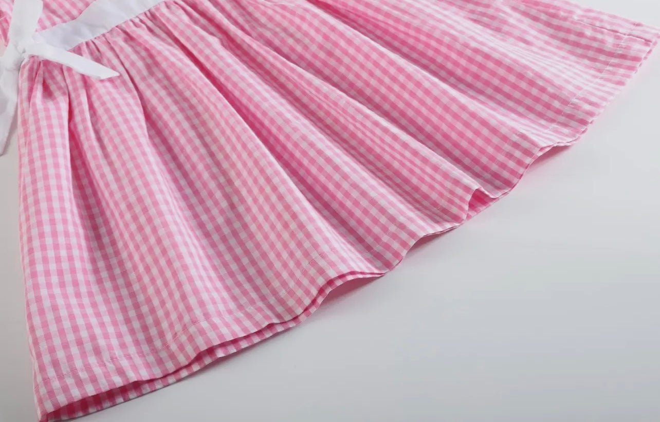 Pink Gingham A-Line Dress