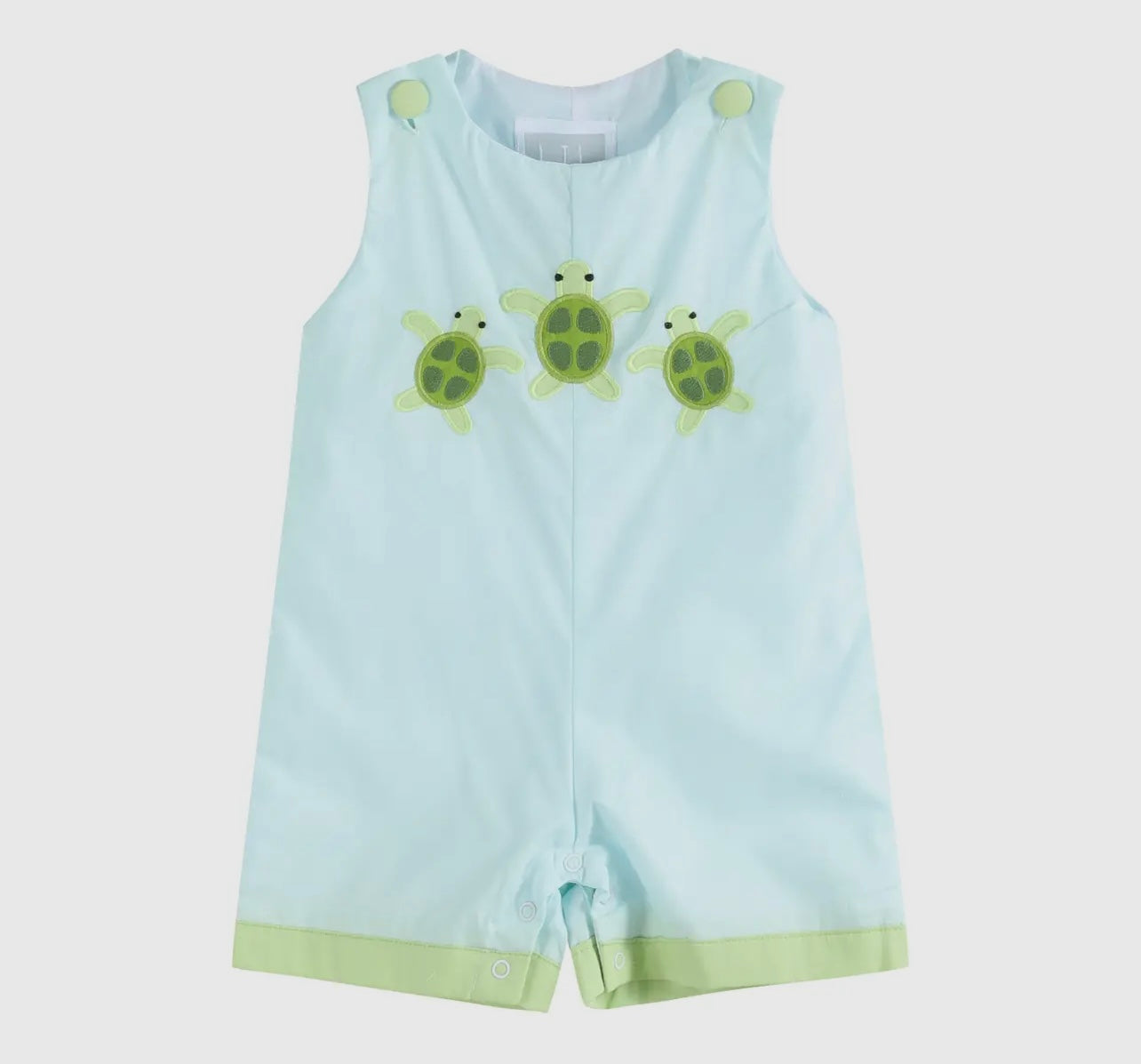 Baby Turtles
