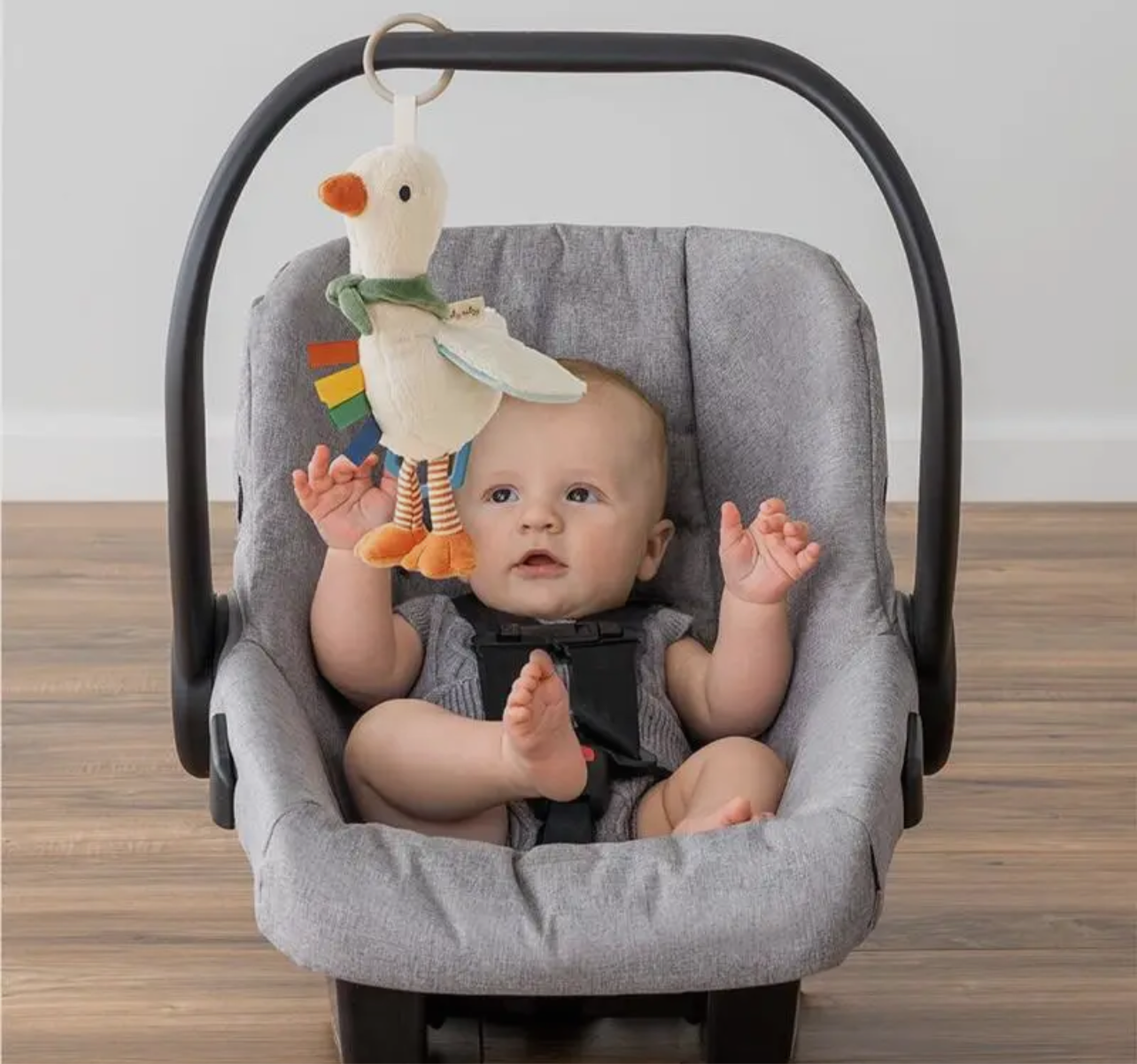 Goose Traveler