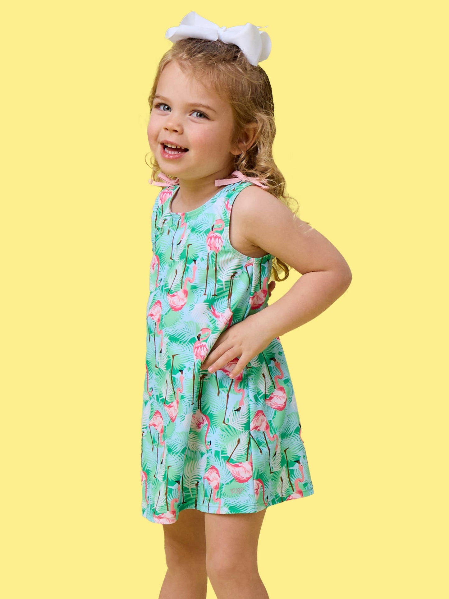 Flamingo Dress & Short Set